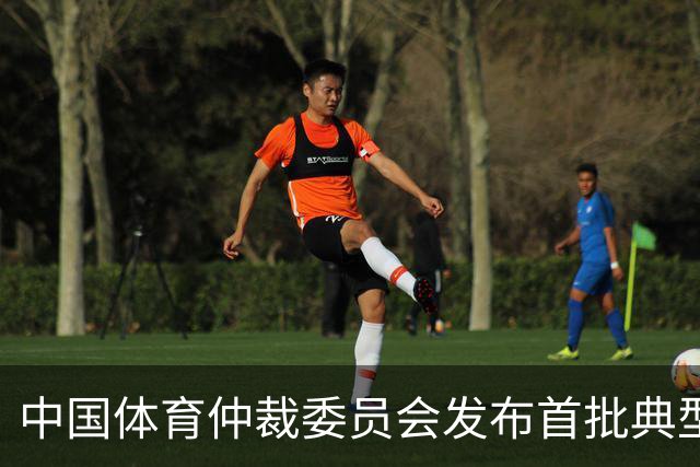 中国体育仲裁委员会发布首批典型案例