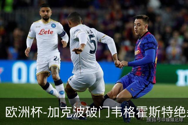 欧洲杯-加克波破门韦格霍斯特绝杀 荷兰2-1波兰